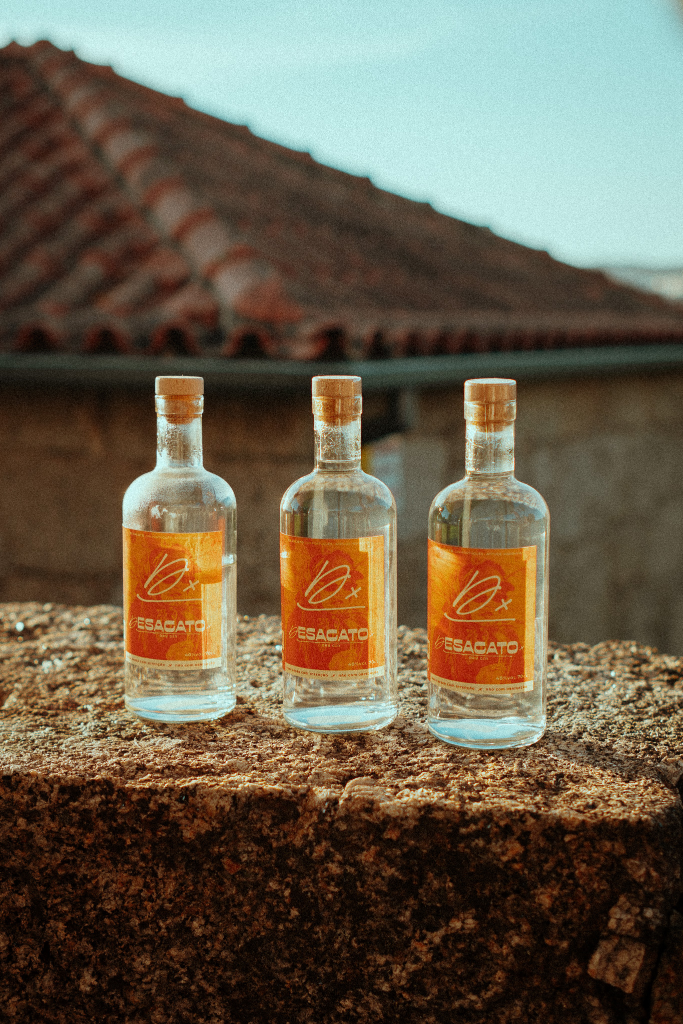 desacato.gin05
